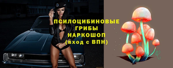 стафф Баксан
