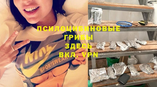 стафф Баксан