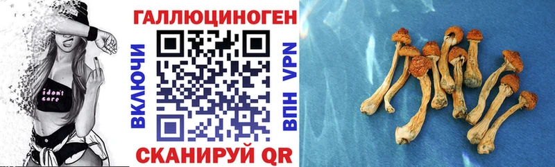 Псилоцибиновые грибы Psilocybine cubensis  Купить  Учалы 